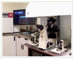 Slider image (10) InteraCells | Chronic Disease Therapy